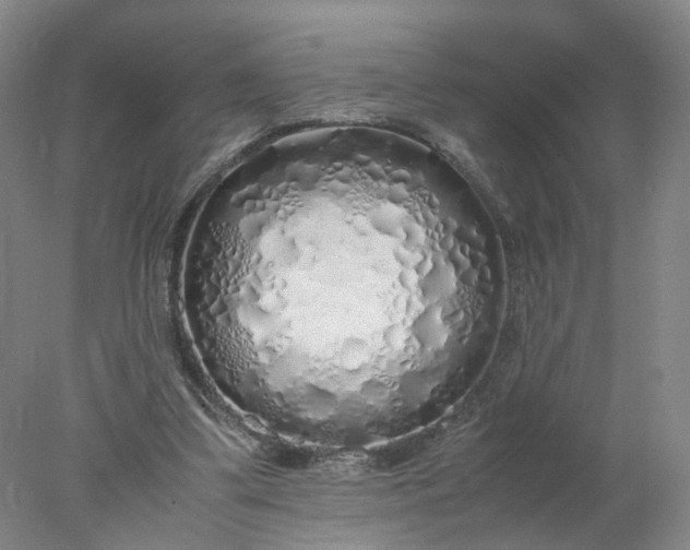 X0000077990299200611101735