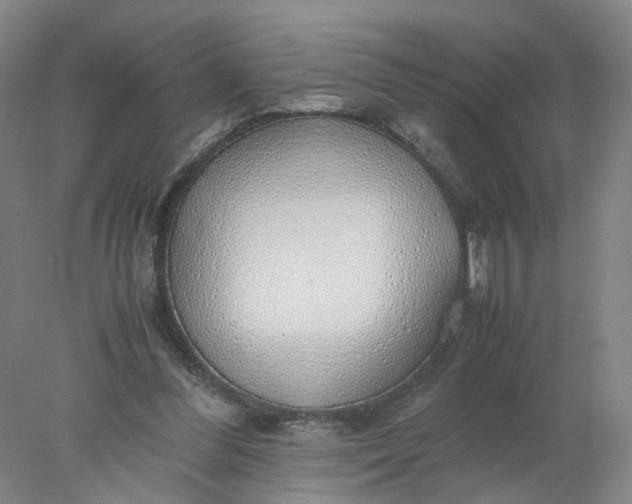 X0000077990300200611101735