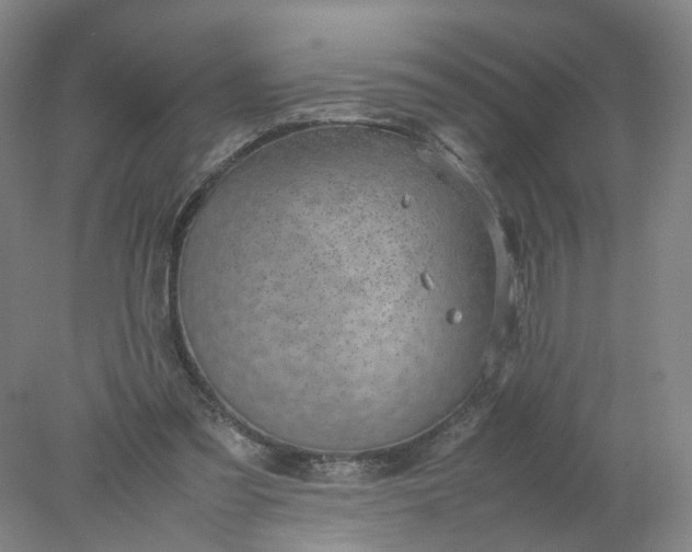 X0000077990301200611101735