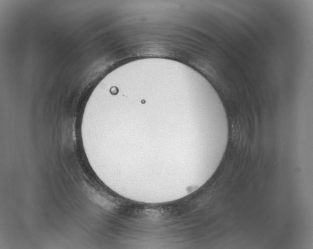 X0000077990302200611101735