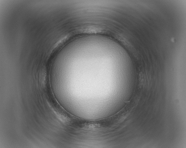 X0000077990304200611101735