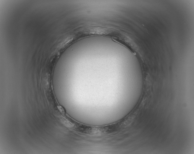 X0000077990305200611101735