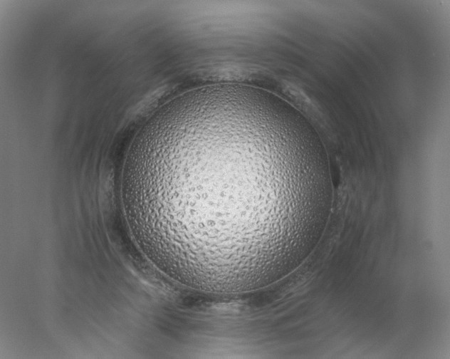 X0000077990306200611101735