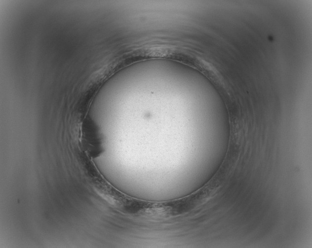 X0000077990307200611101735