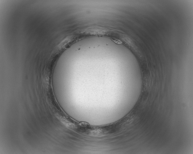 X0000077990309200611101735