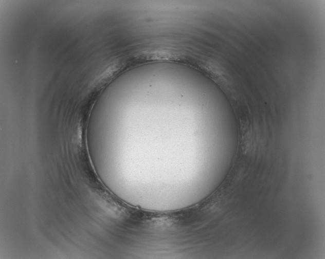 X0000077990310200611101735