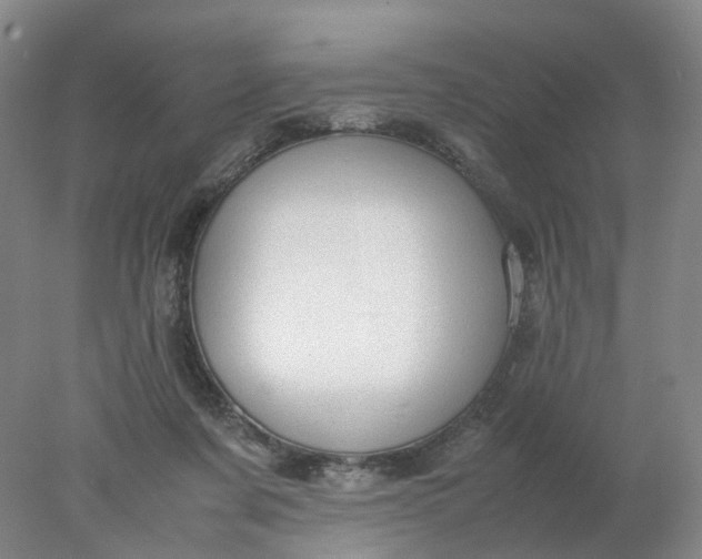 X0000077990311200611101735