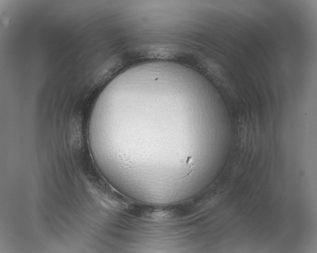 X0000077990312200611101735