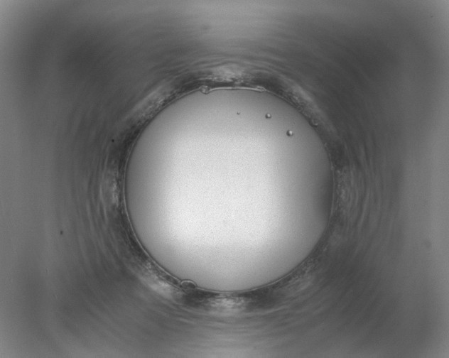 X0000077990313200611101735