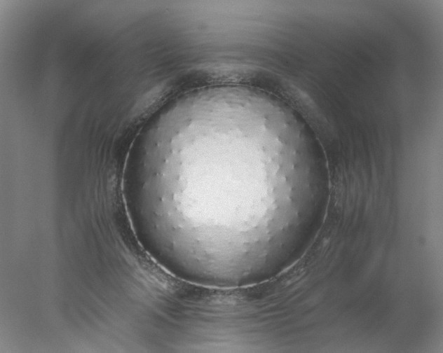 X0000077990314200611101735