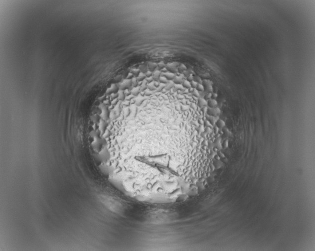 X0000077990315200611101735