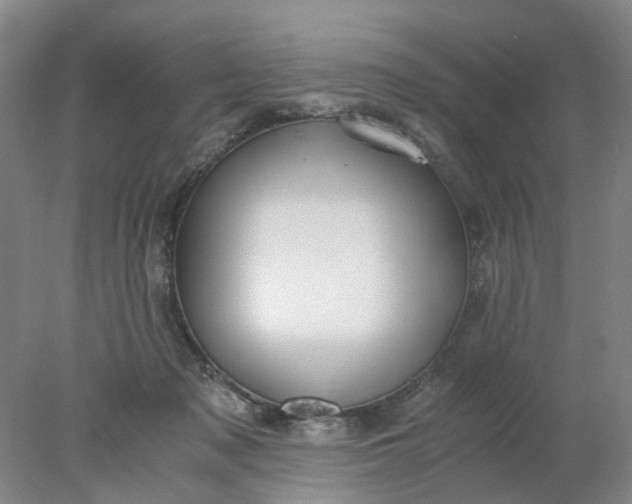 X0000077990317200611101735