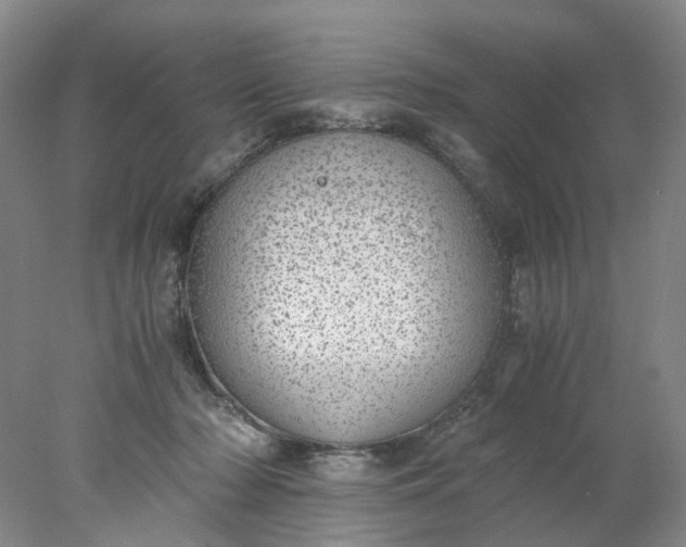 X0000077990318200611101735