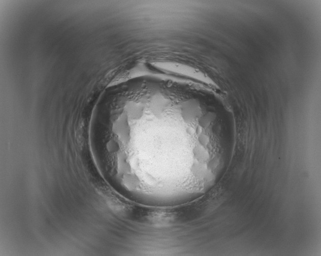 X0000077990319200611101735