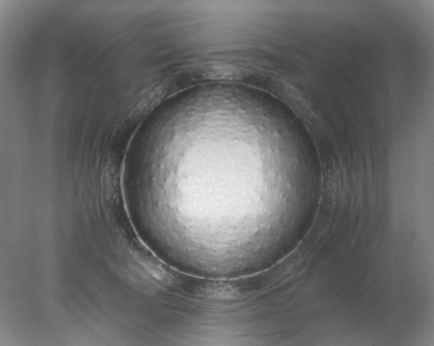 X0000077990322200611101735