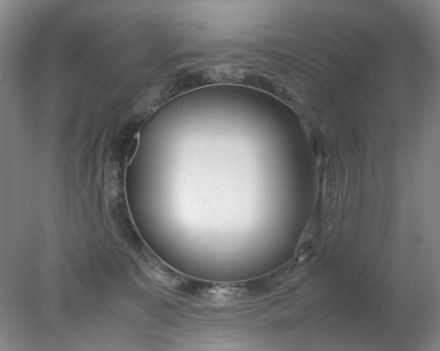 X0000077990323200611101735