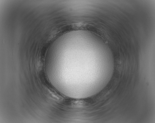 X0000077990324200611101735