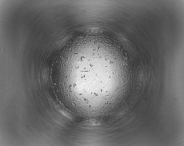 X0000077990326200611101735