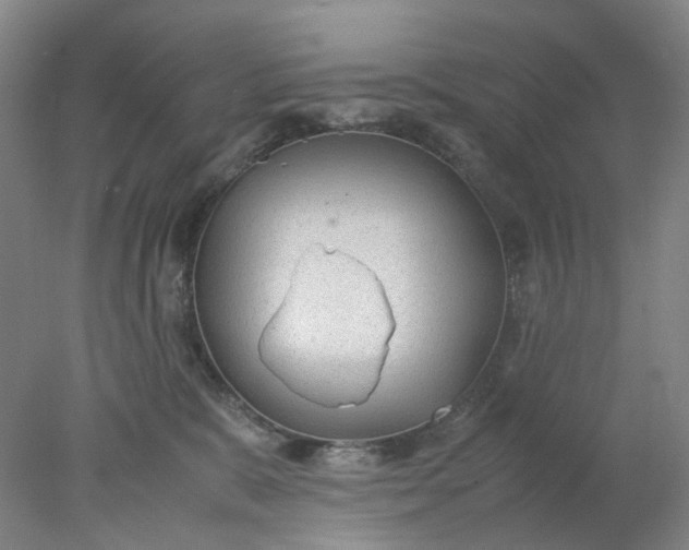 X0000077990327200611101735