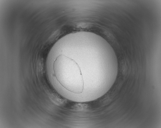 X0000077990328200611101735