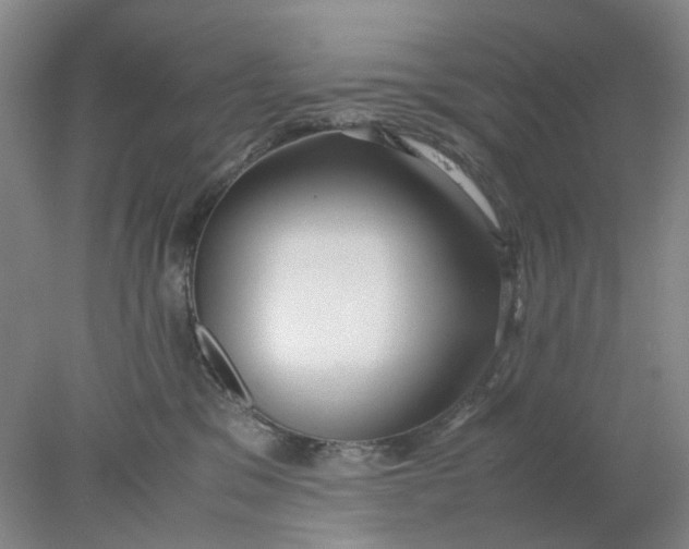 X0000077990329200611101735