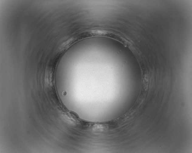 X0000077990330200611101735