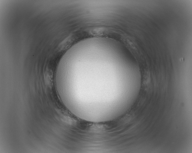 X0000077990332200611101735