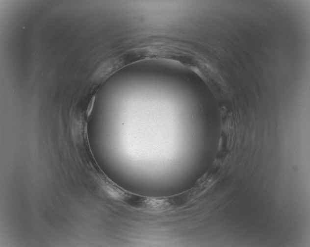 X0000077990333200611101735