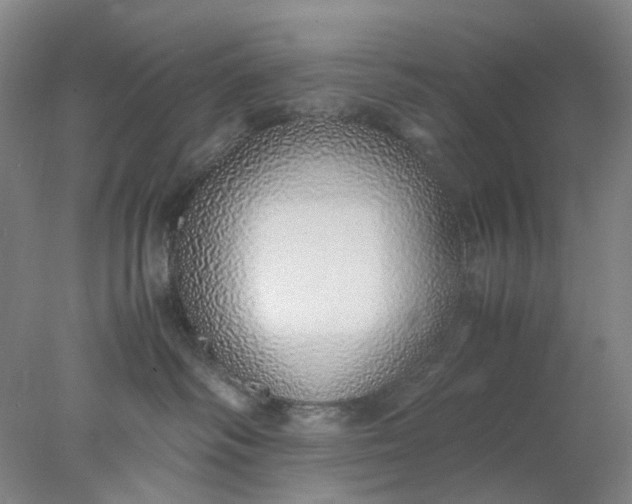 X0000077990334200611101735