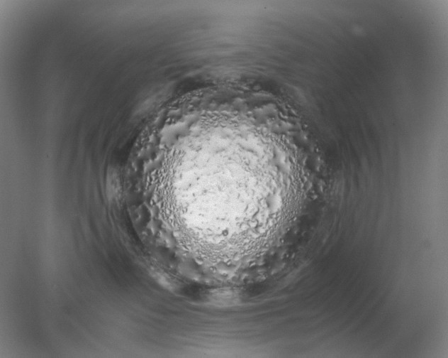 X0000077990335200611101735