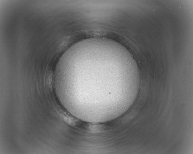 X0000077990336200611101735