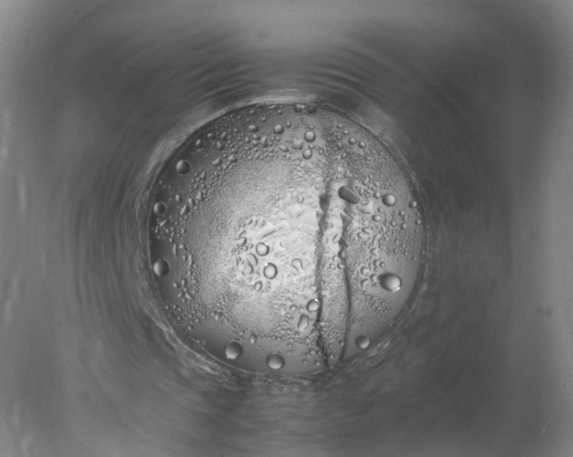 X0000077990337200611101734