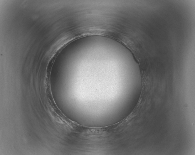 X0000077990338200611101734