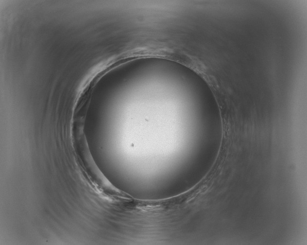 X0000077990340200611101734