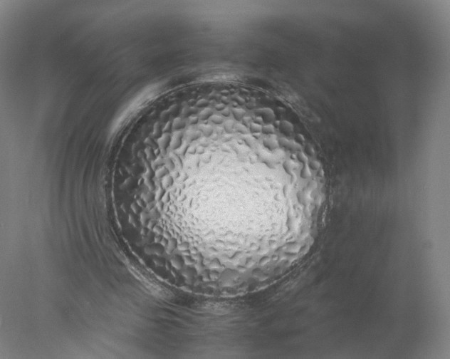 X0000077990341200611101734