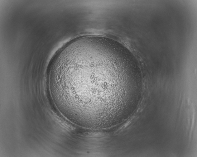 X0000077990342200611101734