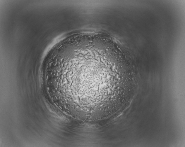 X0000077990343200611101734