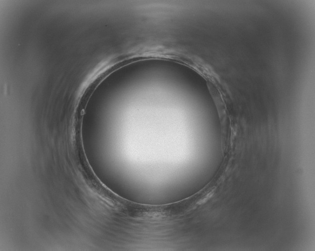 X0000077990344200611101734