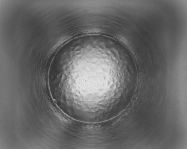 X0000077990345200611101734