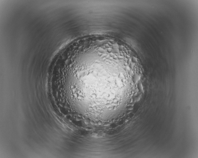 X0000077990346200611101734