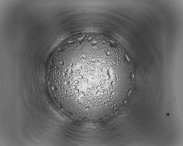 X0000077990347200611101734