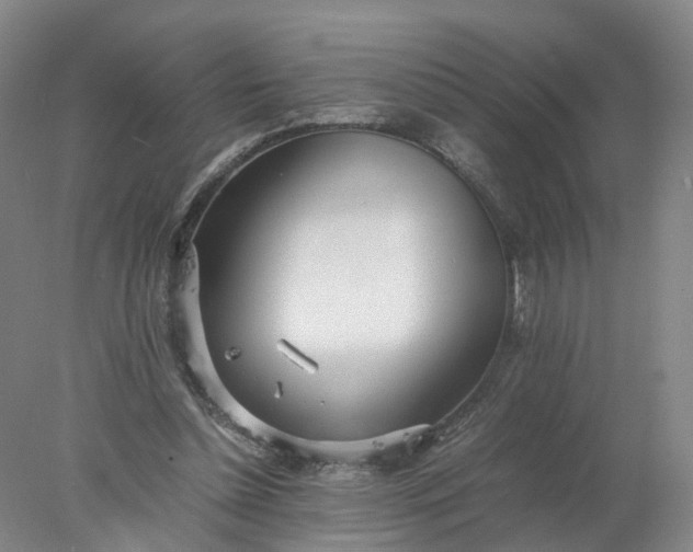 X0000077990348200611101734