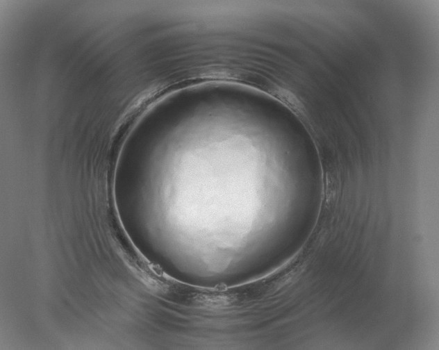 X0000077990349200611101734