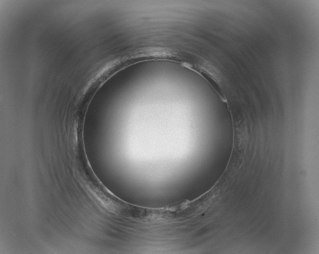 X0000077990350200611101734