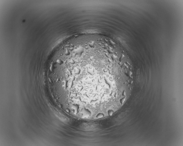 X0000077990351200611101734