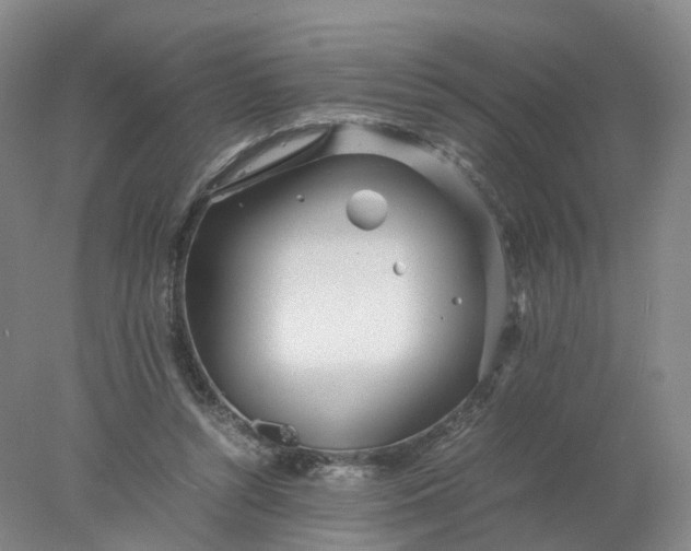 X0000077990352200611101734