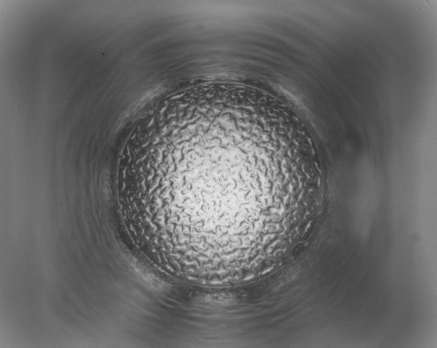 X0000077990353200611101734