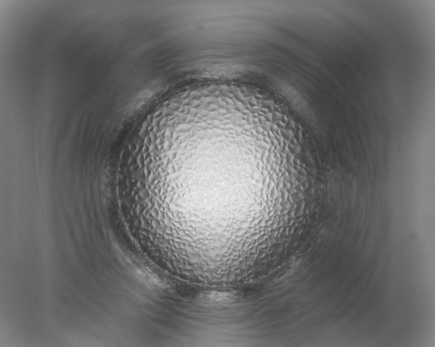 X0000077990354200611101734