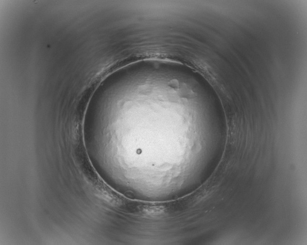 X0000077990355200611101734