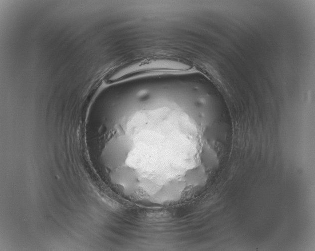 X0000077990357200611101734